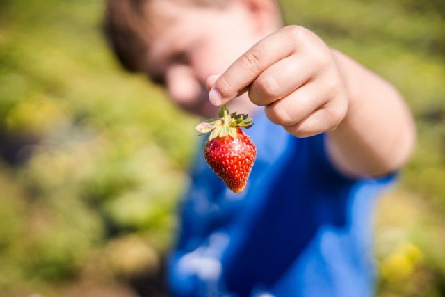 Agency Photo  (88168)