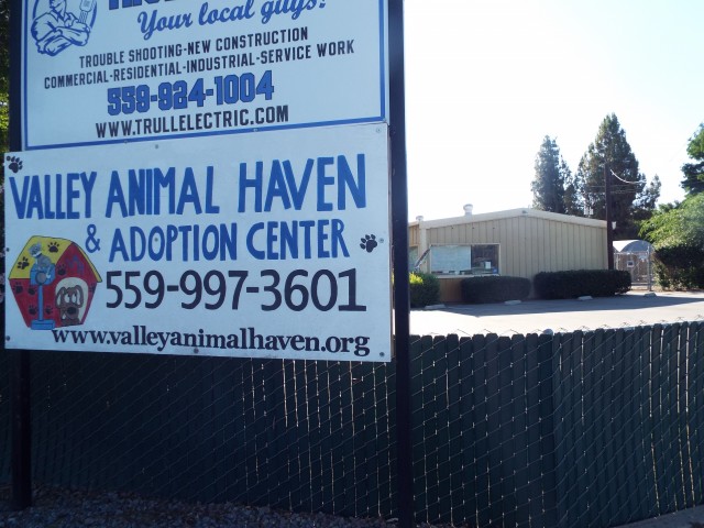 Organization Photo  (47221)