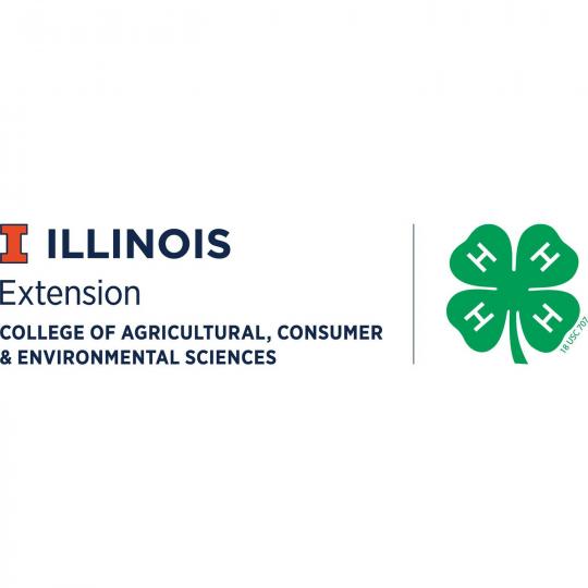 Organization Logo