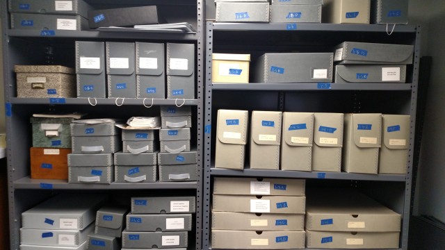 Agency Photo  (98601)