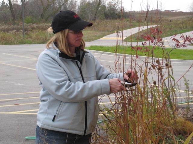 Agency Photo  (89103)