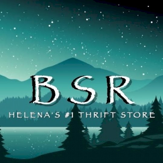 Organization Logo
