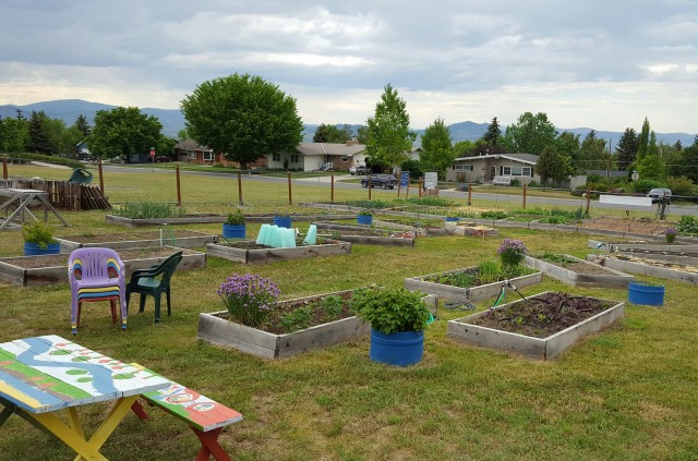 Organization Photo  (66089)