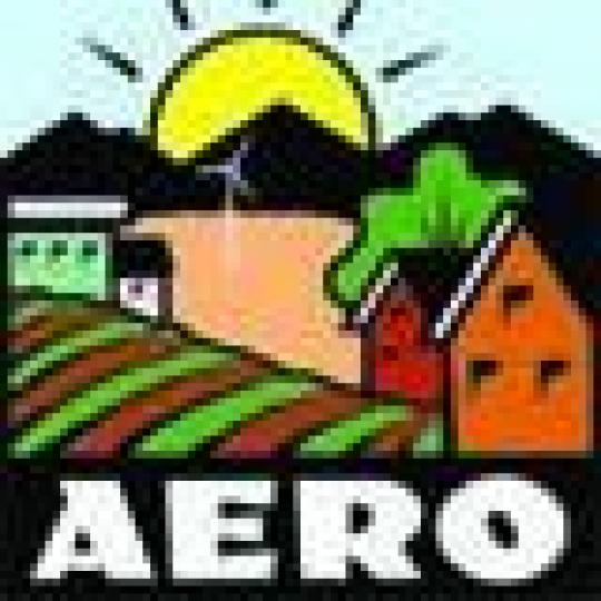 Organization Logo