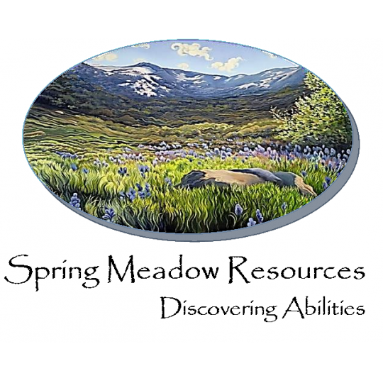 Organization Logo