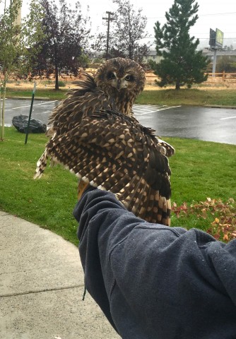 Organization Photo  (95346)