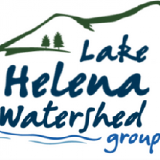 Organization Logo