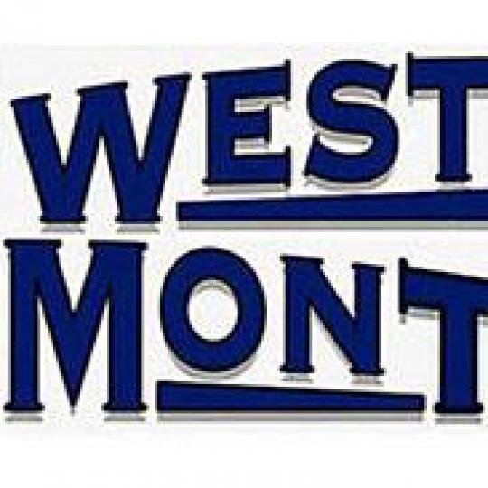 Organization Logo