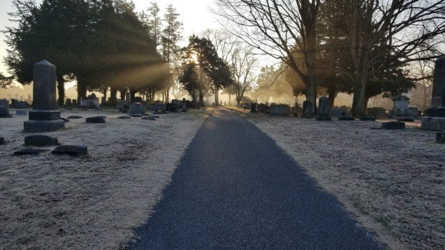 Agency Photo  (262256)