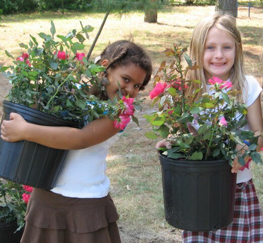 Agency Photo  (263790)