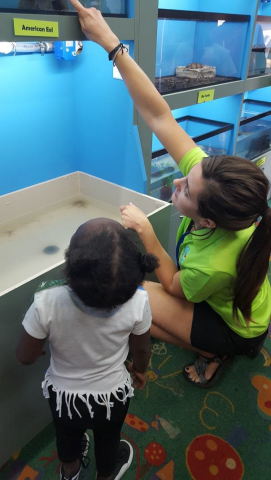 Agency Photo  (262758)