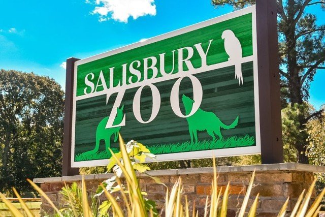 Agency Photo  (261637)