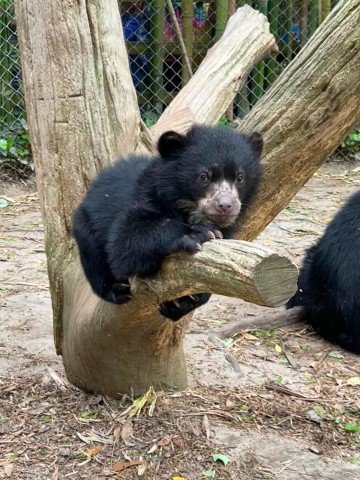 Agency Photo  (261644)