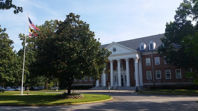 Agency Photo  (261736)