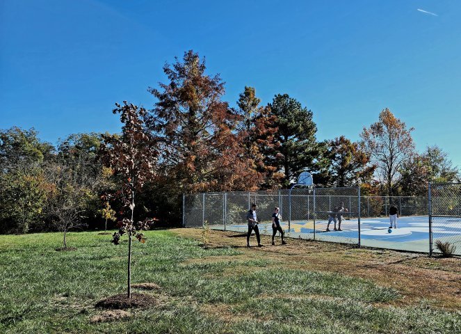 Agency Photo  (261599)