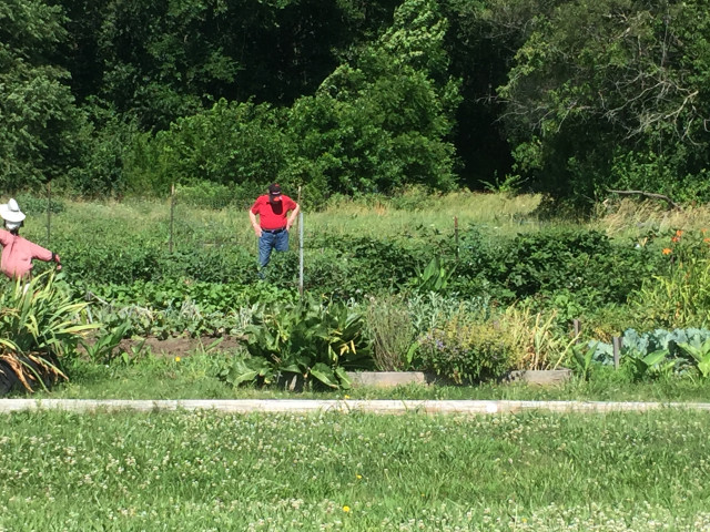 Agency Photo  (147017)