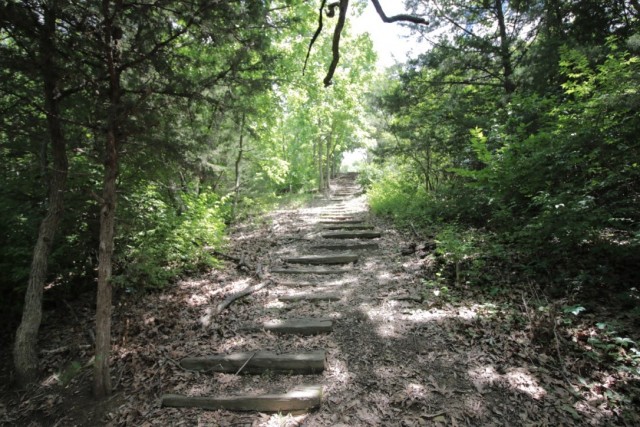 Agency Photo  (112431)