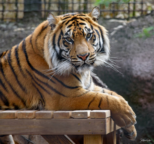 Agency Photo  (173818)