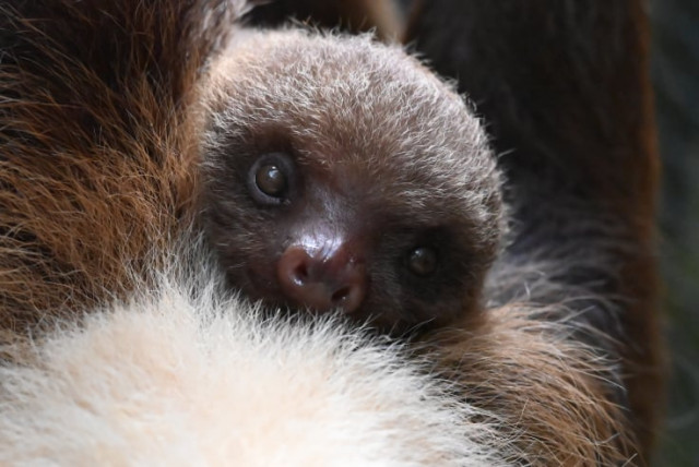 Agency Photo  (173817)