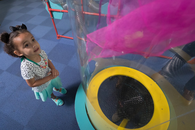 Agency Photo  (129336)