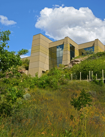 Agency Photo  (198673)