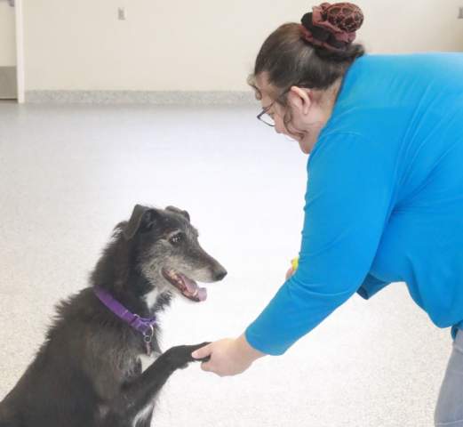 Agency Photo  (248751)