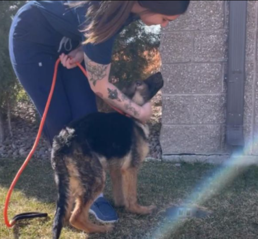 Agency Photo  (248744)