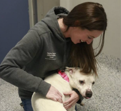 Agency Photo  (248745)