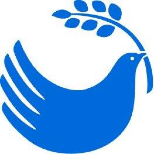 Agency Logo