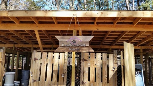 Agency Photo  (43891)