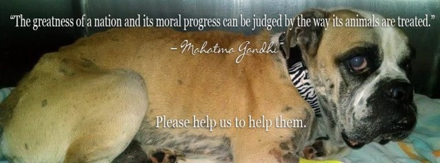 Agency Photo  (42429)