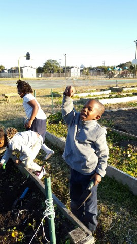 Agency Photo  (71476)