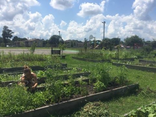 Agency Photo  (71480)