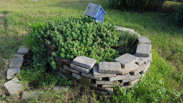 Agency Photo  (71478)