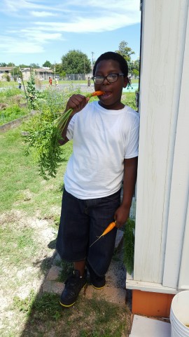 Agency Photo  (71472)