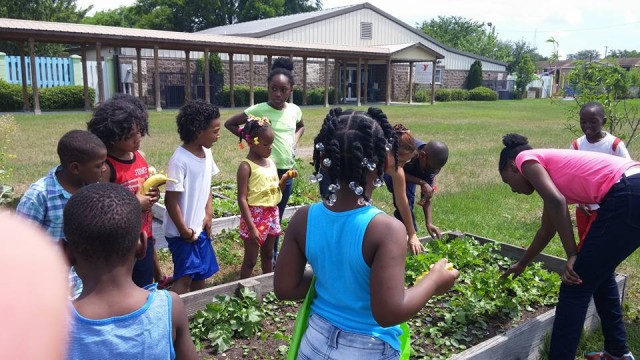 Agency Photo  (71481)