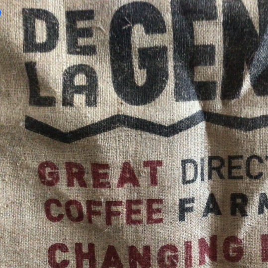 Agency Logo