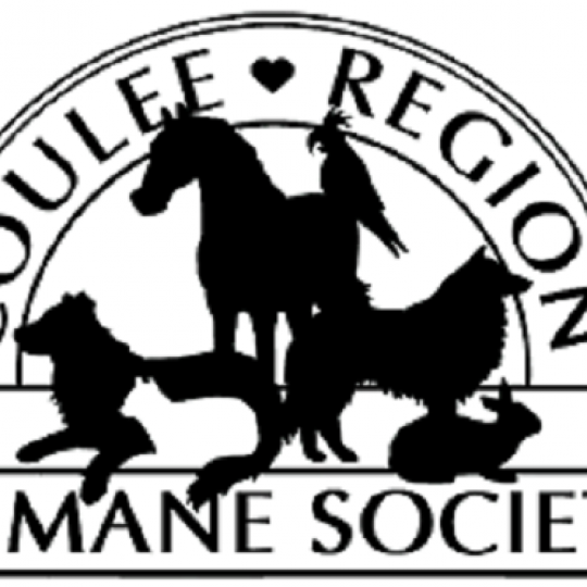 Agency Logo
