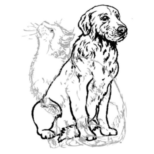 Agency Logo