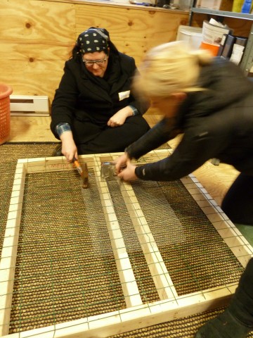 Agency Photo  (104471)