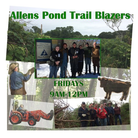 Agency Photo  (104462)