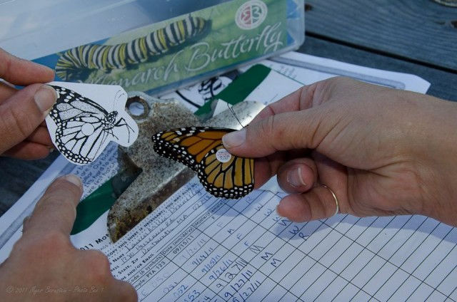 Agency Photo  (79677)