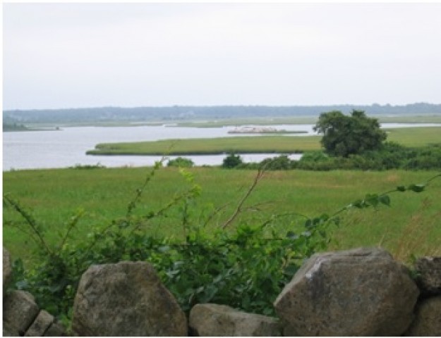 Agency Photo  (73643)