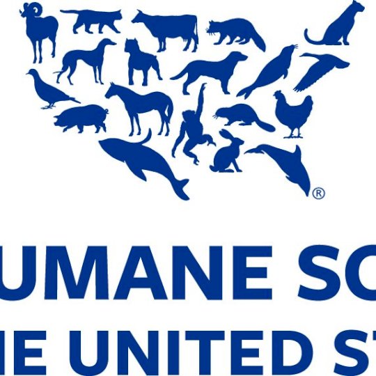 Agency Logo