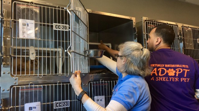 Agency Photo  (81321)