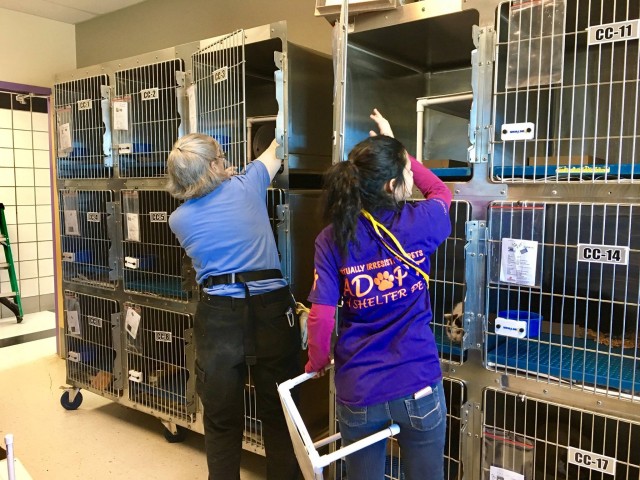 Agency Photo  (81326)