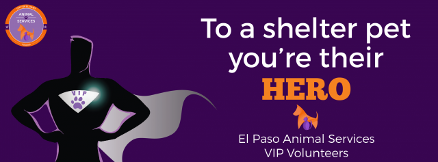 Agency Photo  (83011)