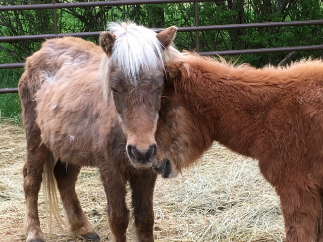 Agency Photo  (133972)