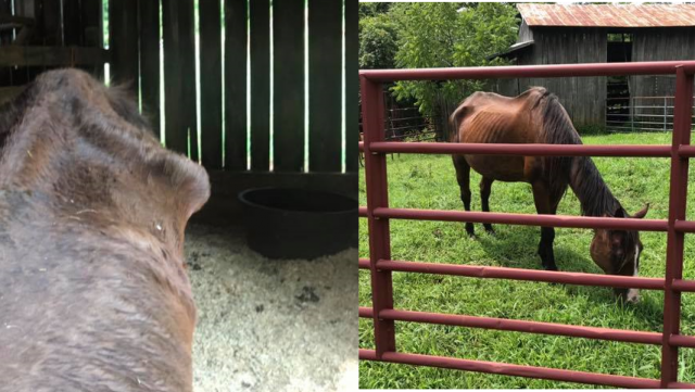 Agency Photo  (133976)