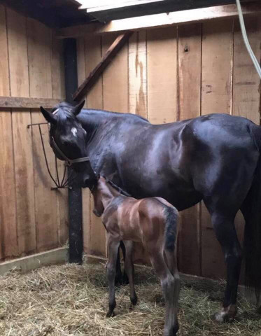 Agency Photo  (133977)